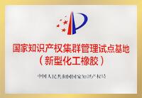 國家知識產(chǎn)權(quán)集群管理試點(diǎn)基地（新型化